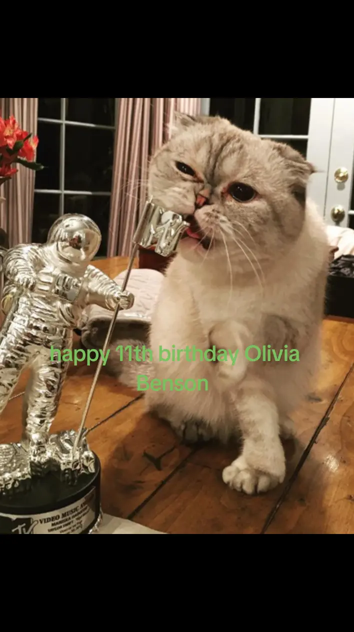 Happy birthday Olivia Benson